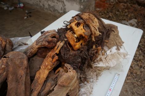 Photo no. 7 (9)
                                                         Mumia odkryta w jednym z grobów
                            