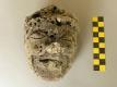 Jedna z glinianych głów odkrytych w depozycie ofiarnym we wnętrzu Budowli 99